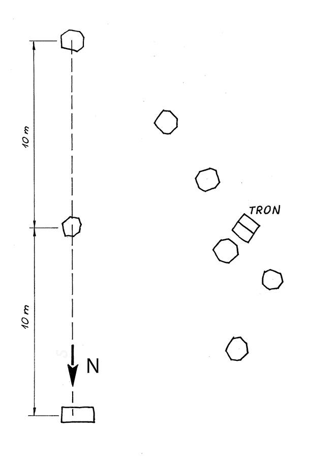 12316338_1018246848197716_5122907060188466222_n 